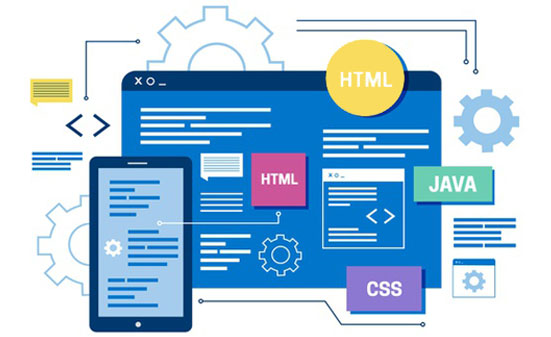 web development company in delhi